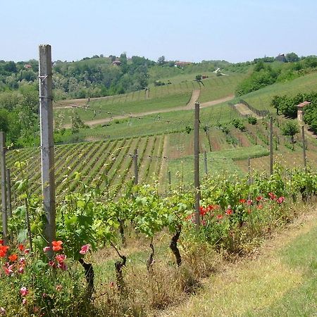 Cascina Rollone Rocchetta Tanaro Exterior foto