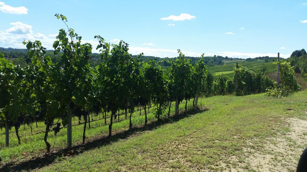 Cascina Rollone Rocchetta Tanaro Exterior foto